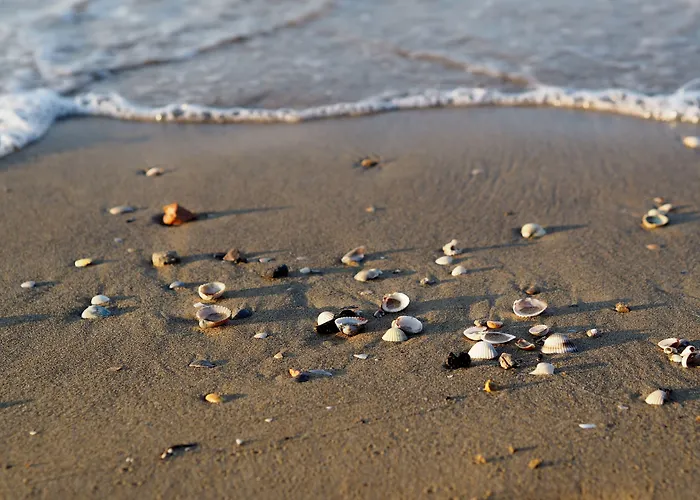 Апартаменти Cozy Two-bedroom In A Seafront Building *